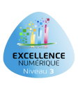 Excellence numérique niveau 3